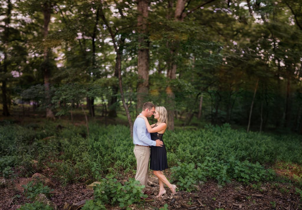best place to propose at the Lake of the Ozarks state park
